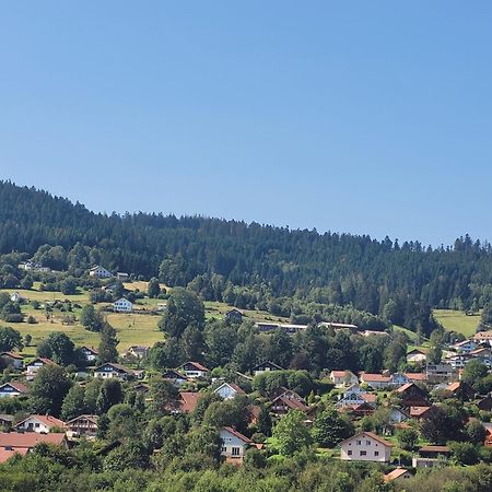 Le Tresor Des Vosges Appartement Spacieux Et Lumineux 80M2 - Jeux Arcades - Ideal Famille 4 A 6 Personnes Gérardmer Kültér fotó