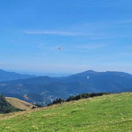 Le Tresor Des Vosges Appartement Spacieux Et Lumineux 80M2 - Jeux Arcades - Ideal Famille 4 A 6 Personnes Gérardmer Kültér fotó