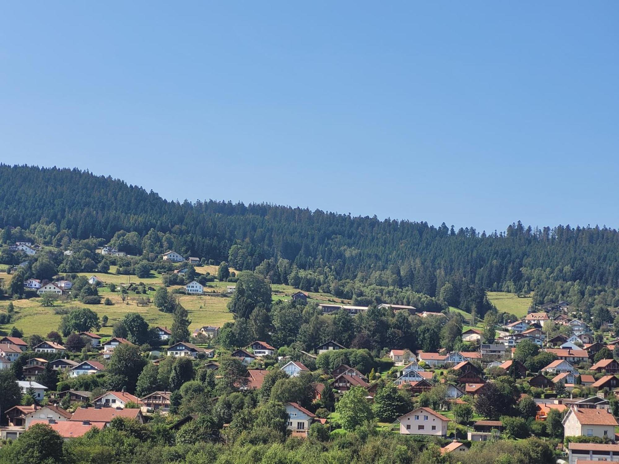 Le Tresor Des Vosges Appartement Spacieux Et Lumineux 80M2 - Jeux Arcades - Ideal Famille 4 A 6 Personnes Gérardmer Kültér fotó